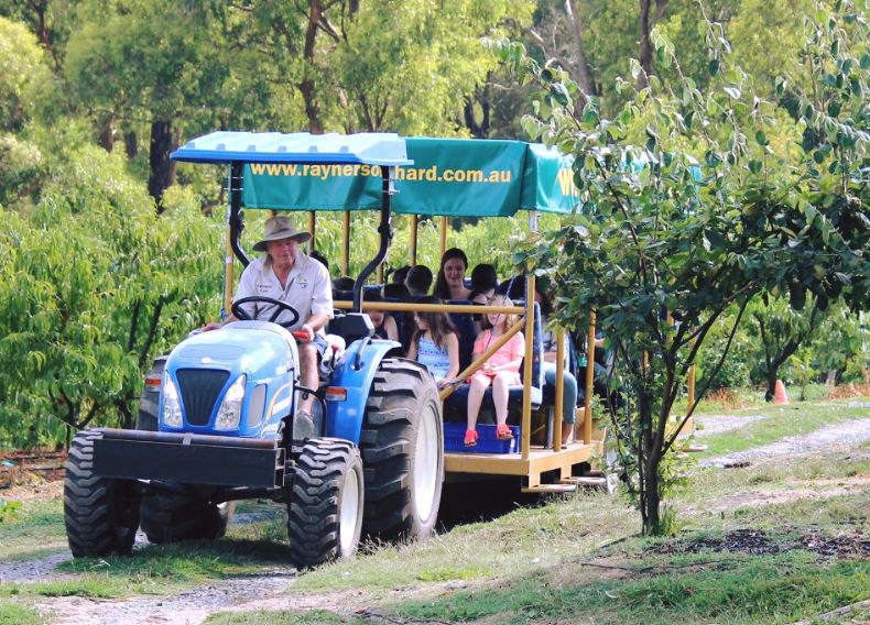 Rayners Orchard (Woori Yallock)