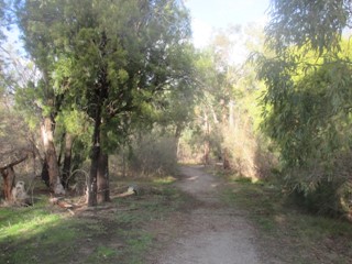 Redcourt Reserve Dog Off Leash Area (Scoresby)