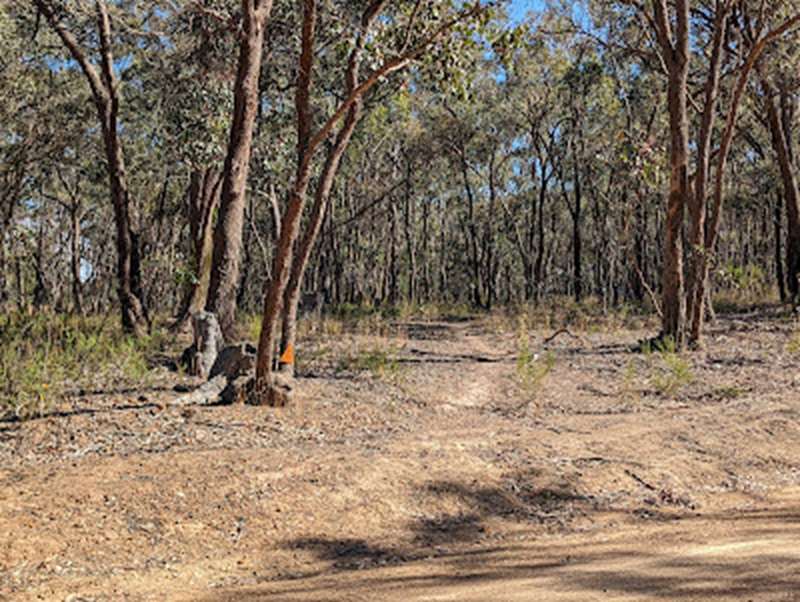 Redesdale Mountain Bike Park