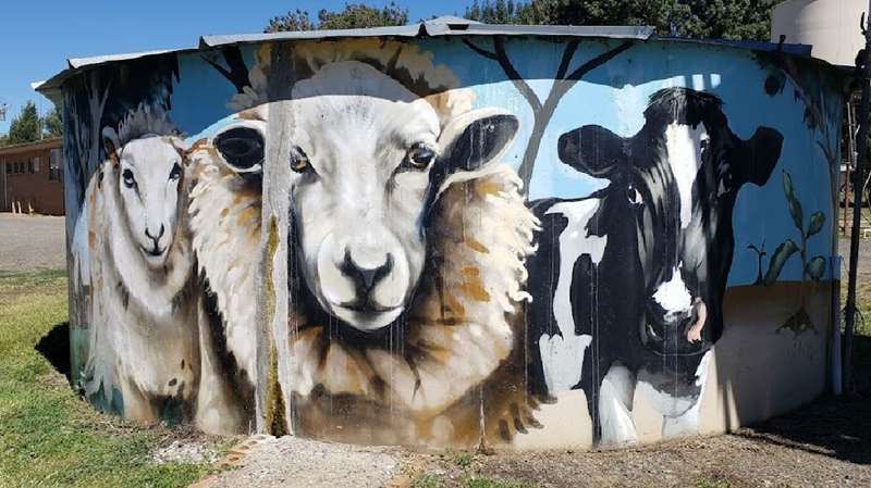 Redesdale Water Tank Art