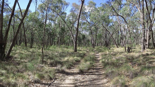 Reef Hills State Park