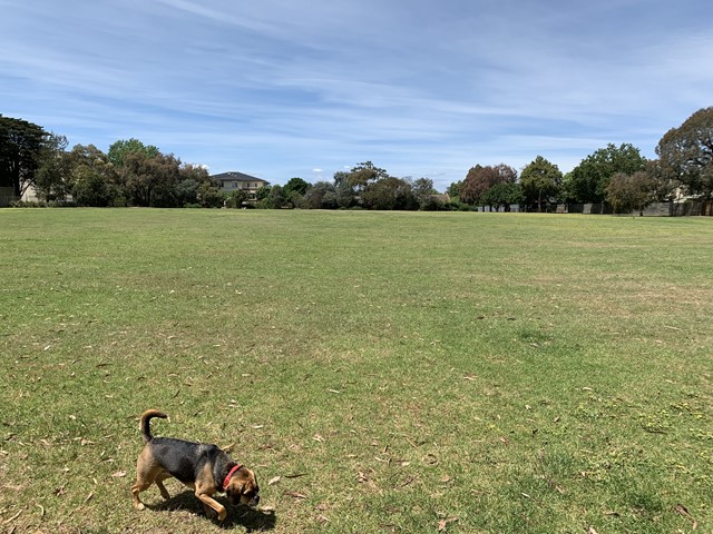 Reservoir Reserve Dog Off Leash Area (Kew)