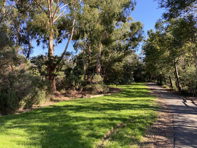 Reta Matthews Reserve Dog Off Leash Area (Ferntree Gully)