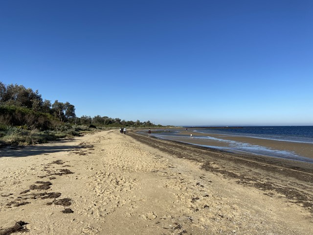 Ricketts Point Beachside Cafe Beach Dog Off Leash Area (Beaumaris)