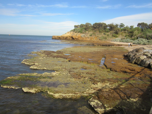 Ricketts Point Beaumaris Rockpool