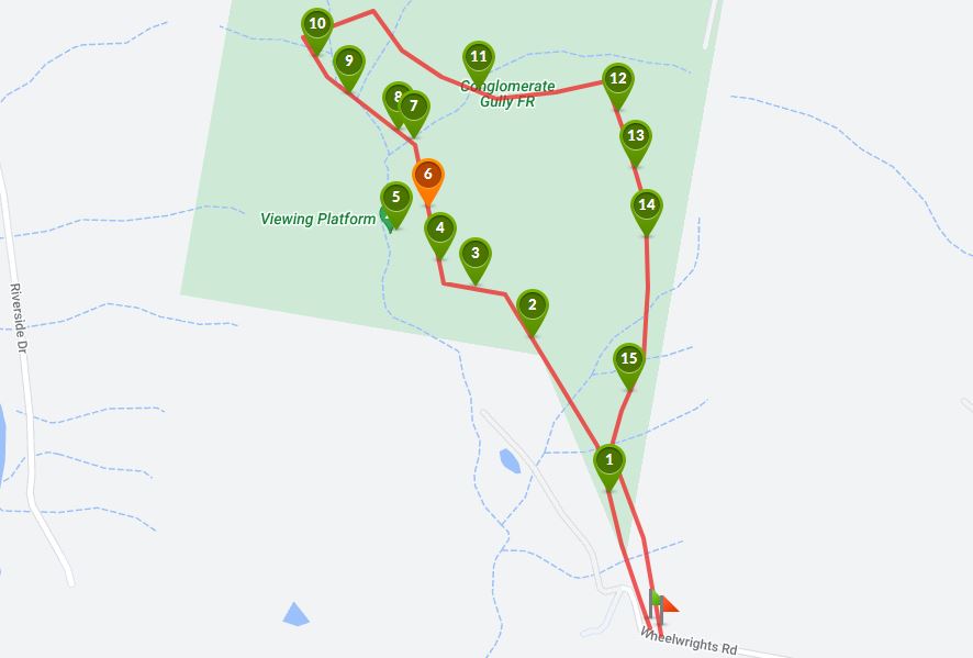 Riddells Creek - Conglomerate Gully Reserve Walk