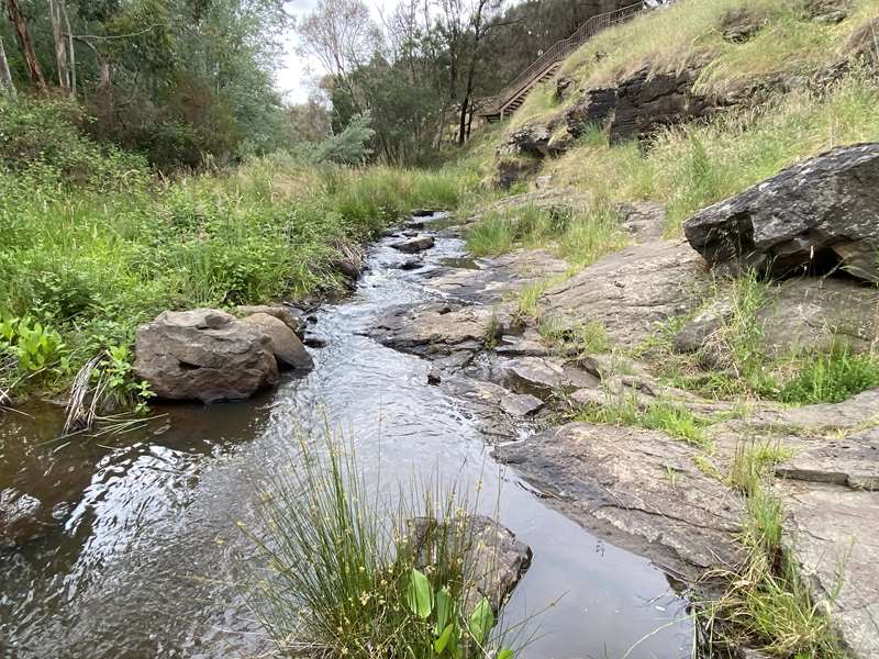 Riddells Creek Town Walks