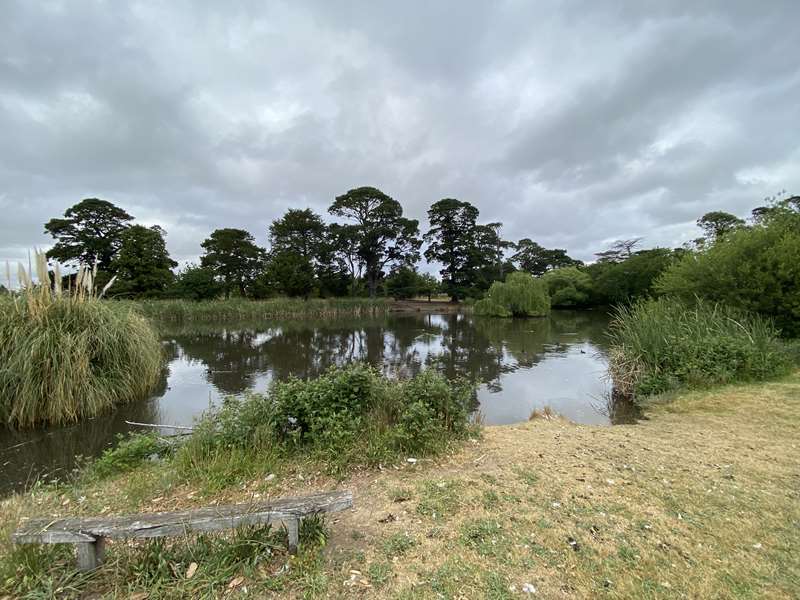 Riddells Creek Town Walks