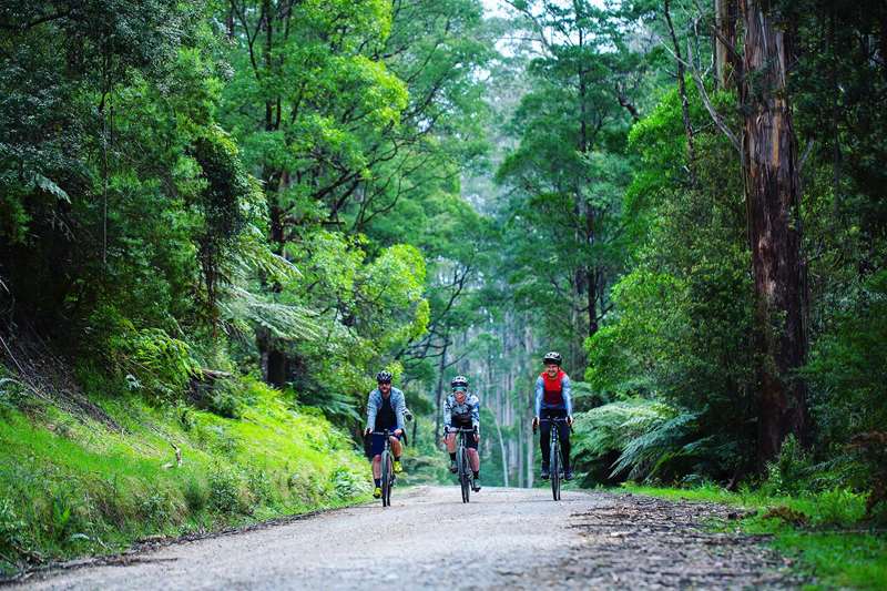 Ride Time Yarra Valley (Warburton & Lilydale)