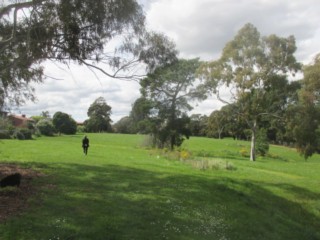 Rieschiecks Reserve Dog Off Leash Area (Doncaster East)