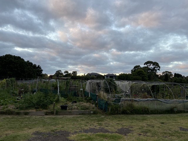 Ringwood Community Garden (Wantirna)