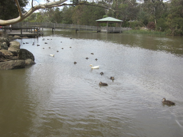 Ringwood Lake Park (Ringwood)