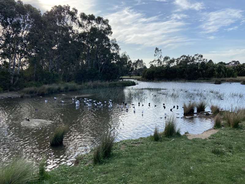 River Gum Creek Reserve (Hampton Park)