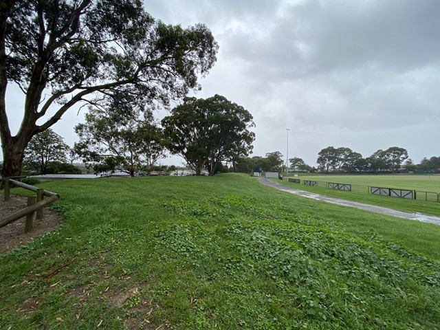 Robert Booth Reserve Dog Off Leash Area (Hampton Park)