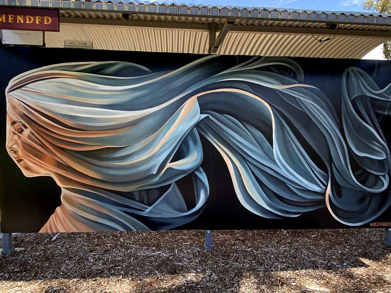 Rochester Mural Park