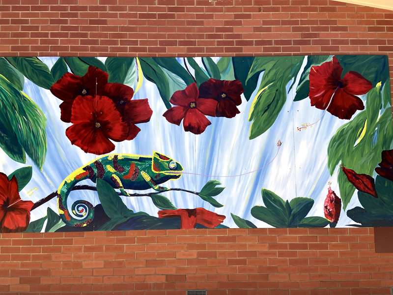 Rochester Murals