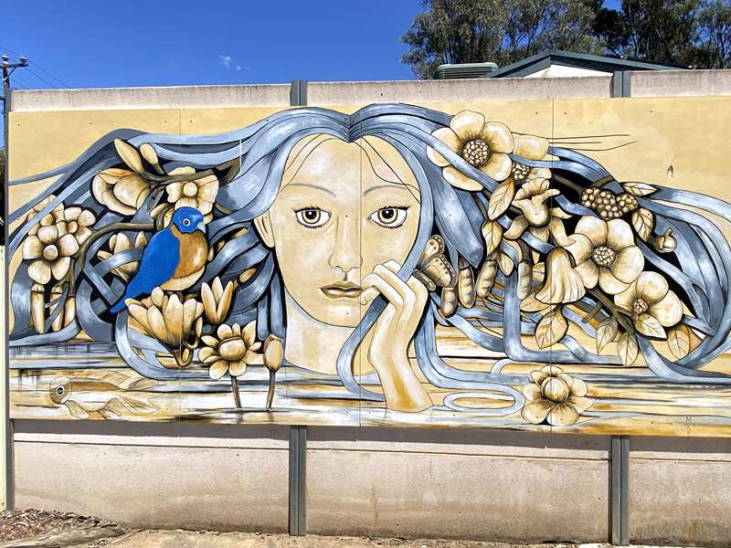 Rochester Murals