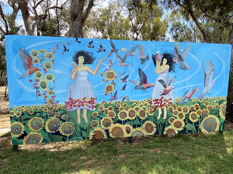 Rochester Murals