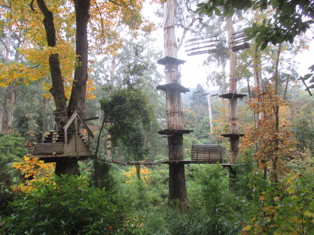 High Ropes Courses in Melbourne and Victoria