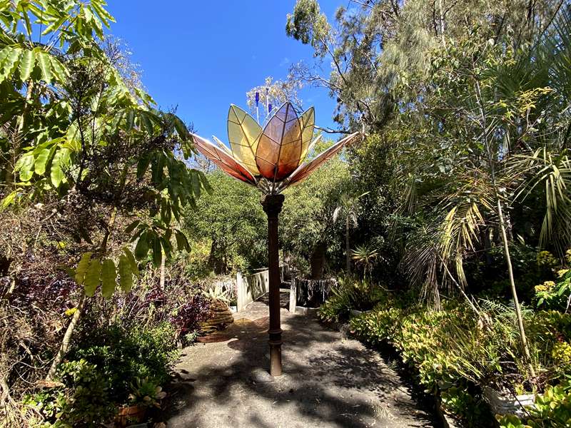 Roraima Nursery (Lara)