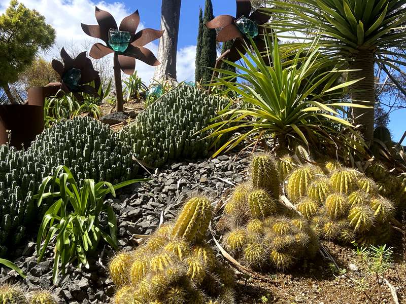 Roraima Nursery (Lara)