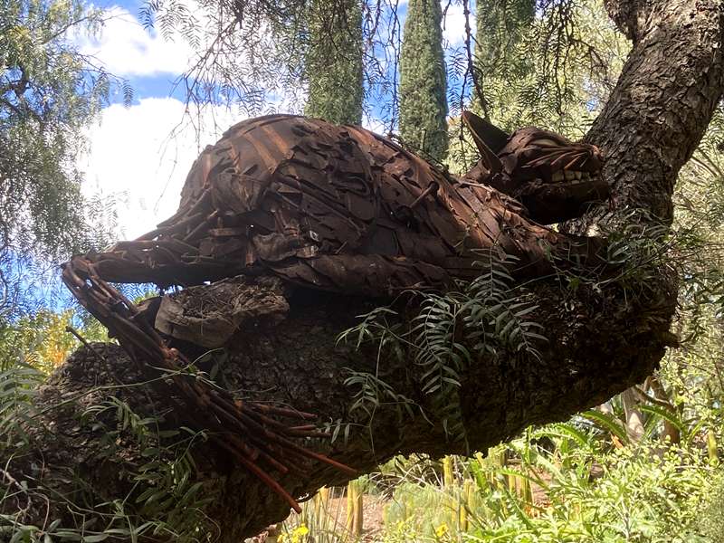 Roraima Nursery (Lara)