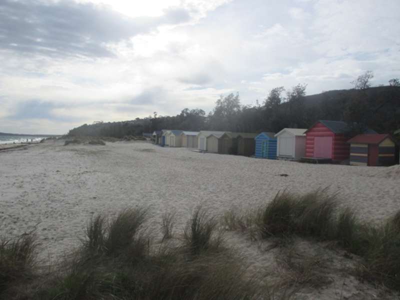 Rosebud Beach — Accessible Beaches Australia