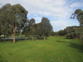 Royal Avenue Reserve Dog Off Leash Area (Sandringham)