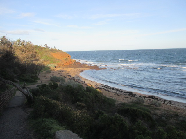 Royal Beach Dog Off Leash Area (Mornington)