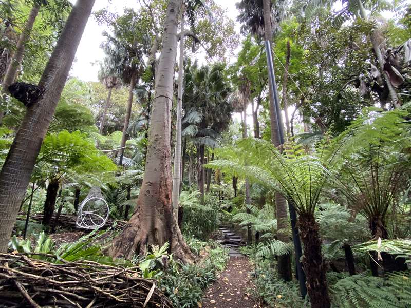 Royal Botanic Gardens Melbourne (Central Melbourne)