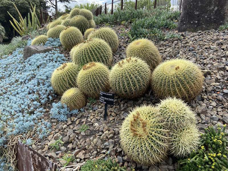 Royal Botanic Gardens Melbourne (Central Melbourne)