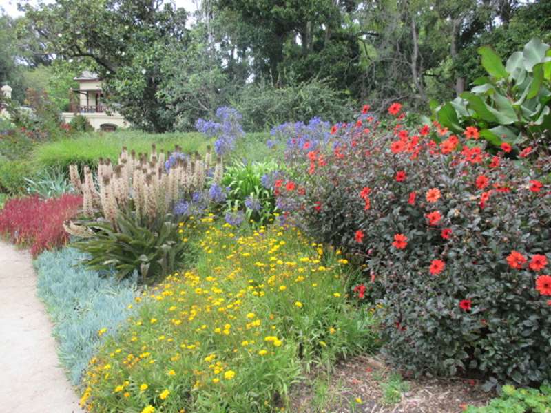 Royal Botanic Gardens Melbourne (Central Melbourne)