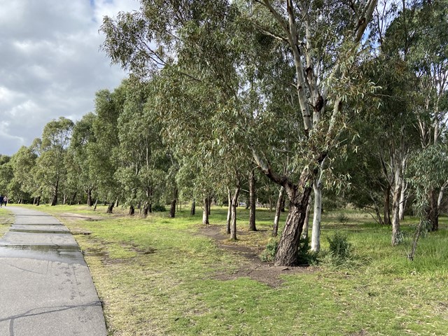 Royal Park (MacArthur Road) Dog Off Leash Area (Parkville)