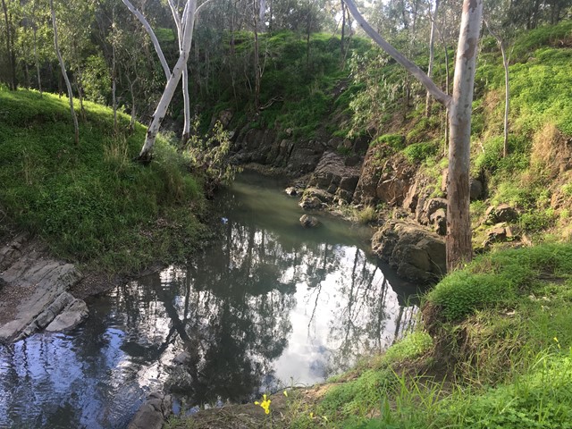 Ruffey Creek Trail, Wombat Bend and Finns Reserve