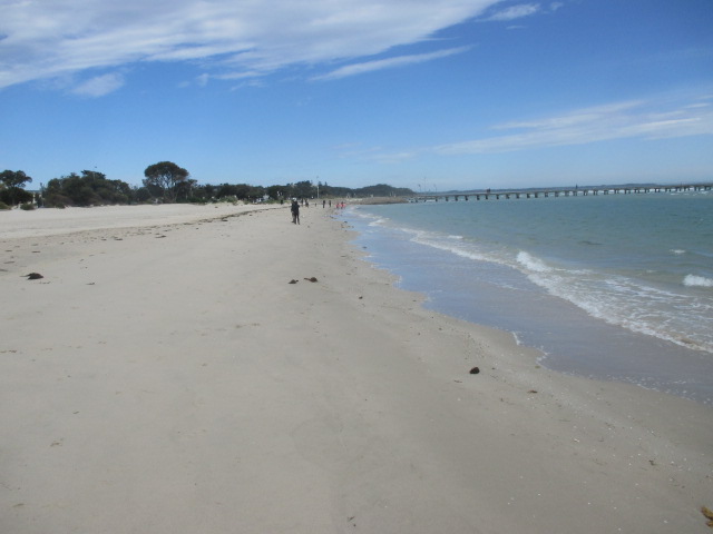 Rye Beach Dog Off Leash Area (Rye)