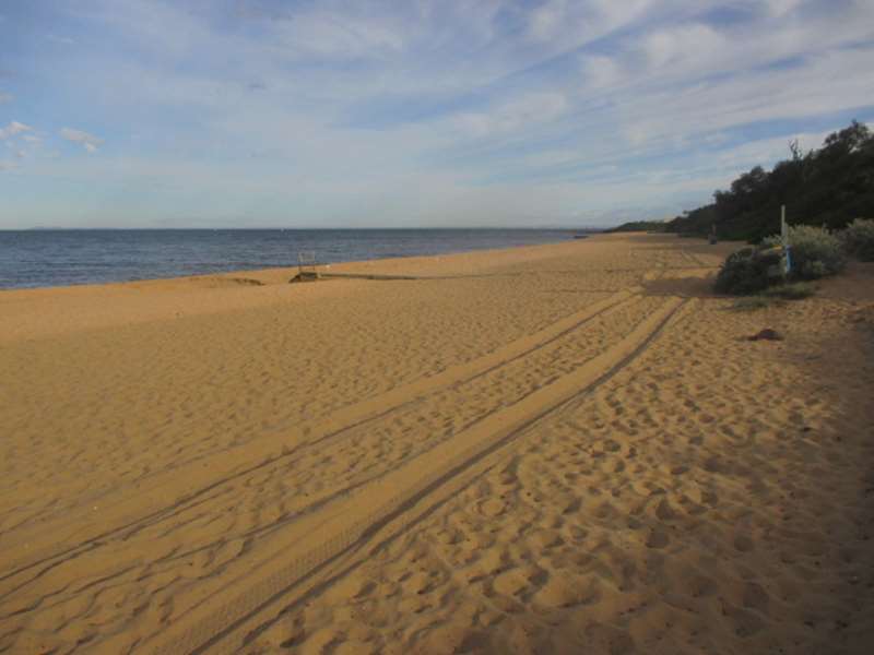 Sandringham Beach Dog Off Leash Area