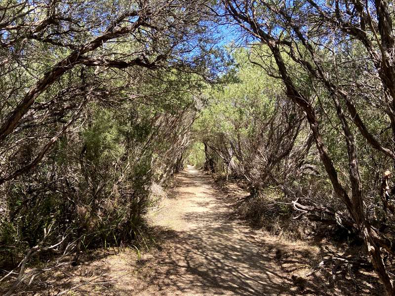 Sandy Point - Roy Henderson Path