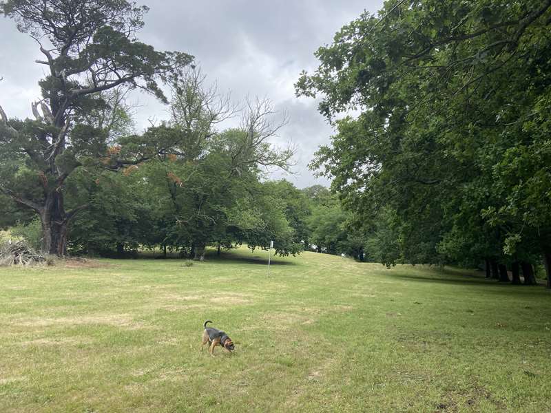 Sankey Reserve Dog Off Leash Area (Gisborne)