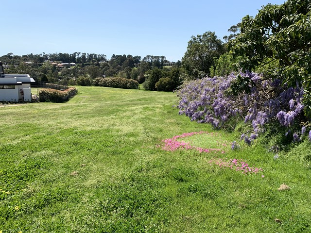 Sarah Crescent Reserve Dog Off Leash Area (Templestowe)