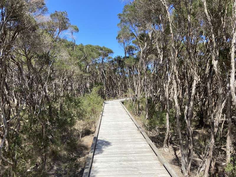 Scenic Estate Conservation Reserve (Phillip Island)