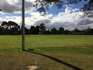 Schultz Reserve Dog Off Leash Area (Wantirna)