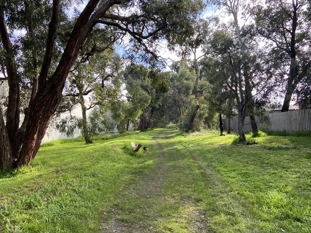 Scoresby Linear Reserve Dog Off Leash Area (Scoresby)