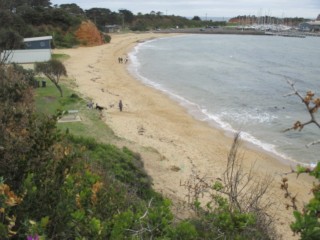 Scout Beach (Mornington)