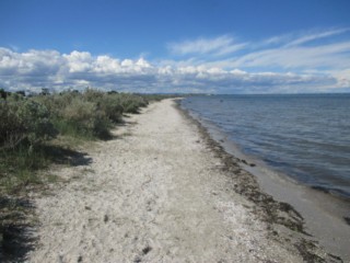 Seaholme Beach