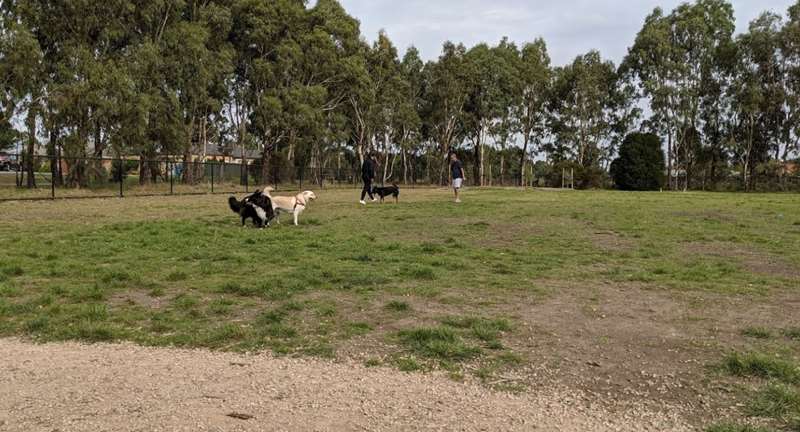 Seebeck Drive Reserve Fenced Dog Park (Narre Warren South)