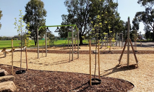 Selwyn Park Ninja Warrior Course (Albion)