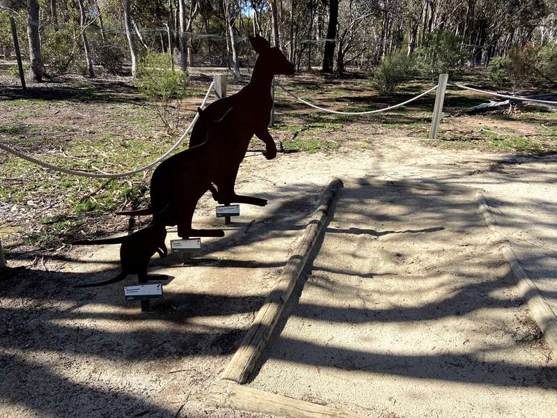 Serendip Sanctuary (Lara)