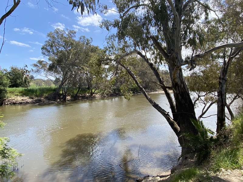 Seymour - Goulburn River Trail Walk