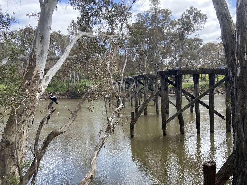 Seymour - Goulburn River Trail Walk