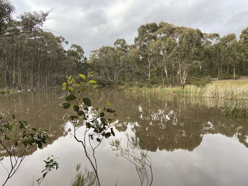 Seymour Bushland Reserve